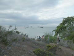 08-A lot of ships are visiting the island